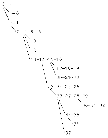 taxonomic cycle