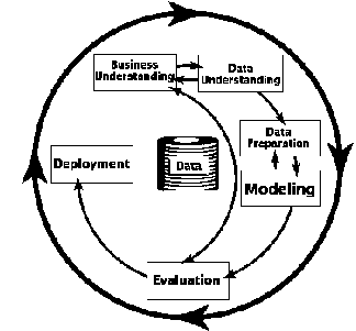 Data Mining Cycle