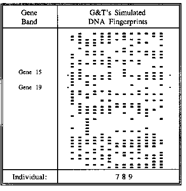 Dna Fingerprinting Chart