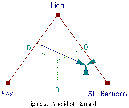 Solid St. Bernard